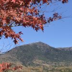 ハヤティと紅葉観に行こうよう〜秋の土浦＆つくば紅葉サイクリング〜