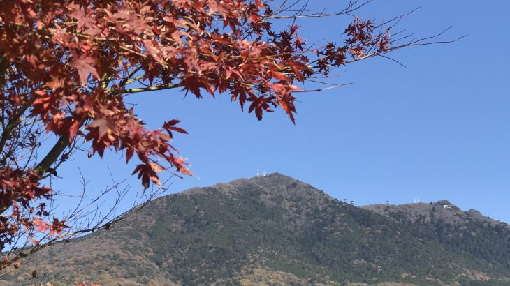 ハヤティと紅葉観に行こうよう〜秋の土浦&つくば紅葉サイクリング〜
